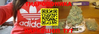 СК Бузулук