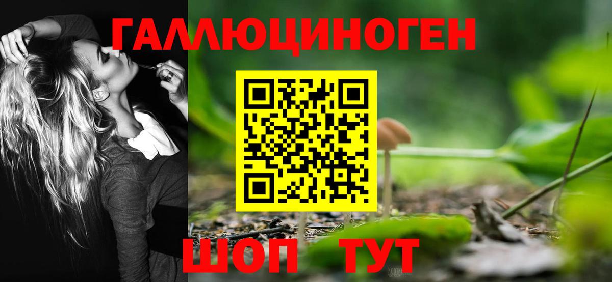 Галлюциногенные грибы MAGIC MUSHROOMS  даркнет сайт  Вход с VPN  Бутурлиновка  Галлюциногенные грибы прущие грибы 