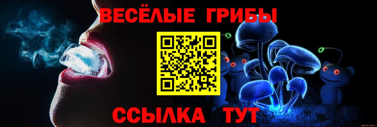Галлюциногенные грибы Psilocybe Бутурлиновка